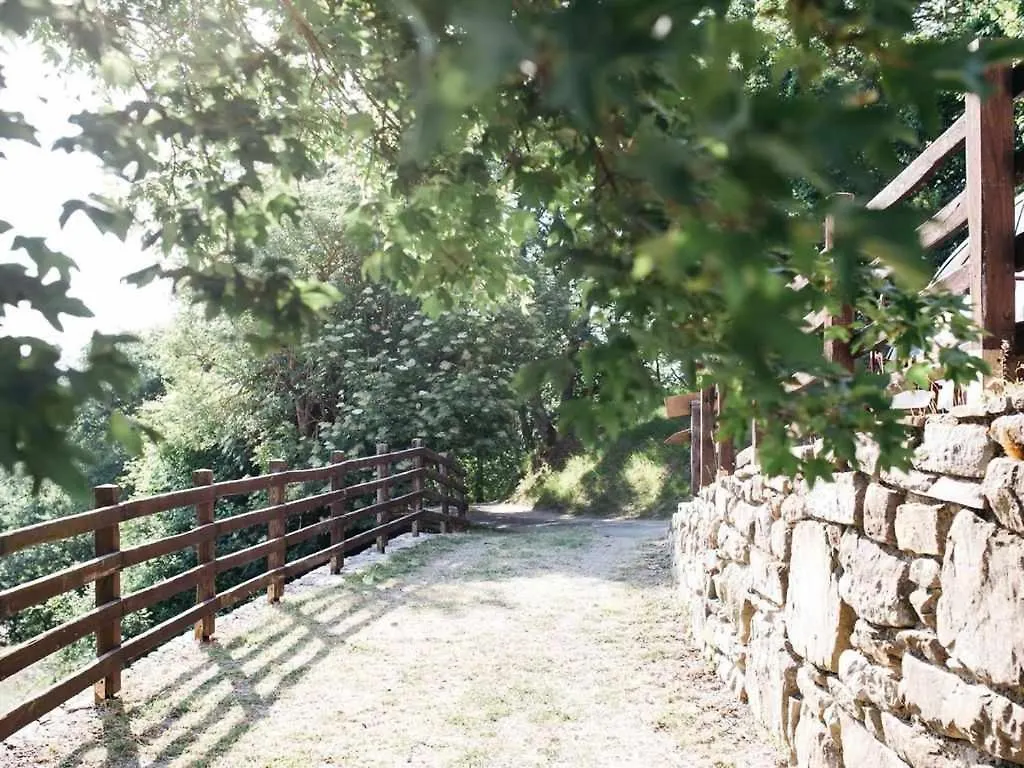 Holiday home Villa Santarsa Con Piscina Privata Sansepolcro Italy