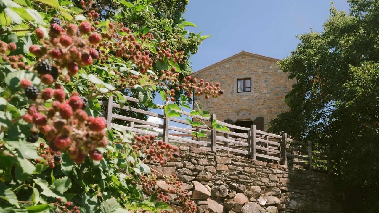 Villa Santarsa Con Piscina Privata Sansepolcro 0*,