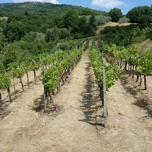 La Collina Di Piero Casa vacanze